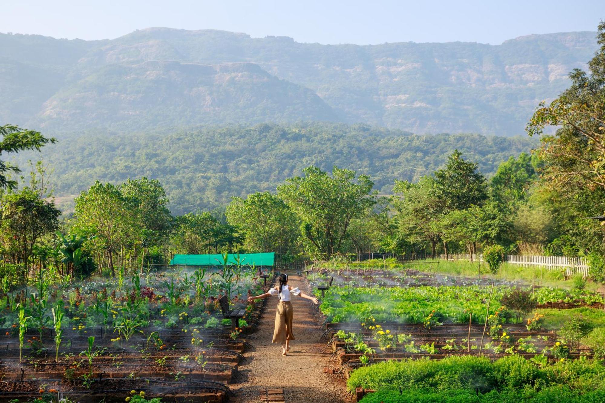 Dharana At Shillim All Inclusive Luxury Wellness Retreat Lonavla Exterior foto
